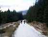 On the track between Tyndrum Lower Station and Cononish