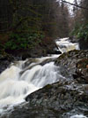 Invervar Burn. Taken in the forest just north-west of Invervar