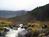 Looking downstream from the same bridge