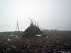 A bundle of old fence posts on Meall Garbh