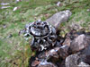 Plane crash wreckage east of Braeriach