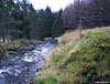 Looking downstream at White Water from the bridge in Glendoll Forest