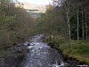 Back at White Water. Taken from the bridge near the lodge