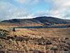 Looking east across Loch Arron at Craignaw
