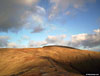 Merrick from Benyellary
