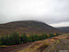 The Sow of Atholl