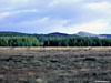 And seeing some deer along the way