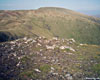 Merrick from Benyellary
