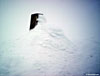 A snowy trig point on Ben Macdui