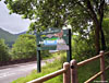 Entering the woods opposite the carpark at Arrochar