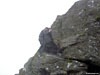 Me buggering about on The Cobbler
