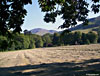 A last look at Ben Vorlich from beside Loch Earn