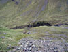 Some wee deer in the Lairig Eilde
