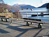 A flock of killer ducks heading for Ben Lomond