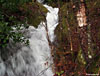 Waterfalls were in good form with all the rain
