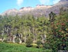 Liathach from near Glen Cottage, Glen Torridon