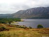 The southern edge of Loch Maree