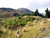 First view of Meikle Lump from the edge of the forest