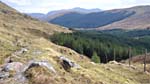 Looking along Glen Dessarry from the edge of the trees at its western end