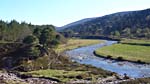 Glen Feshie