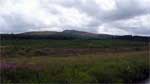 Meikle Bin seen from the River Carron