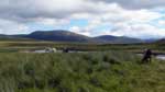 Some cuddies near Loch Pattack