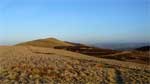 Looking back at Allermuir from Capelaw Hill