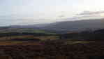 The Tay
