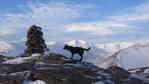 What can I say? It's a dug and a cairn
