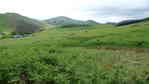 Carnethy, Scald Law, East Kip, West Kip
